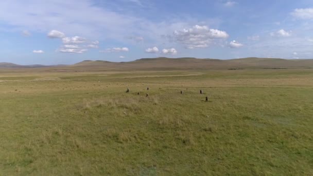 シベリアのハカシアの美しい夏の風景 鮮やかな青空 緑の草 そしてステップ 雲が景色を強化する — ストック動画