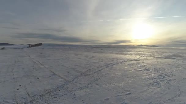 Karla Kaplı Dağlar Tarlalar Otlayan Atlarla Hakassia Çarpıcı Bir Kış — Stok video