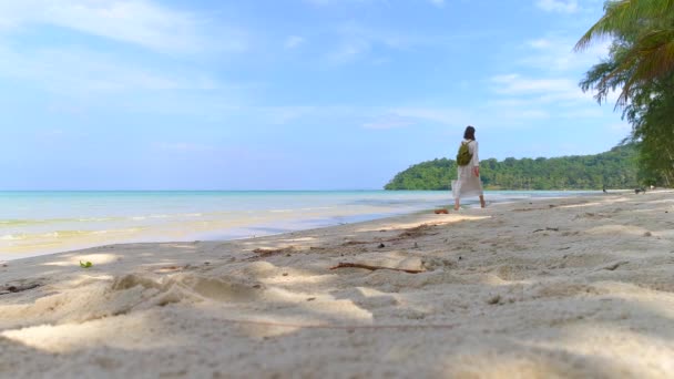 Vídeo Sereno Una Hermosa Playa Tailandia Hombre Mujer Caminando Por — Vídeo de stock