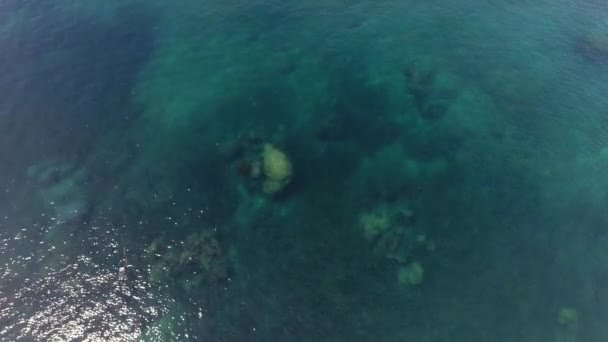 Snorkel Lagoa Coral Freedom Beach Koh Tao Desfrute Paisagens Marinhas — Vídeo de Stock
