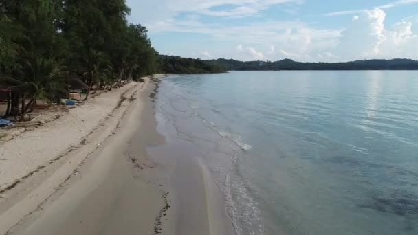Vacker Thailand Strand Med Blå Himmel Lummig Skog Palmer Koh — Stockvideo