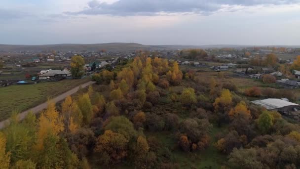 Αιχμαλωτίζοντας Φθινοπωρινό Χωριό Της Σιβηρίας Ζωηρά Κίτρινα Φύλλα Γαλήνιο Ποτάμι — Αρχείο Βίντεο