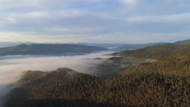 Adembenemend Uitzicht Het Mistige Herfstlandschap Siberië Vallei Bos Bergen Creëren — Stockvideo