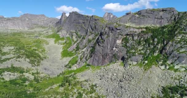 ロシアのハカシアのシベリアの風光明媚なシベリアの山々を眺める 夏の風景を魅了する野原 緑豊かなタキガの森 雄大な山々 旅行愛好家に最適 — ストック動画