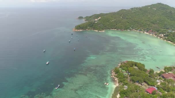 Vue Aérienne Couper Souffle Freedom Beach Île Koh Tao Thaïlande — Video
