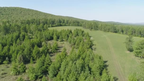 Vista Aérea Del Exuberante Bosque Verano Región Siberia Khakassia Captura — Vídeo de stock