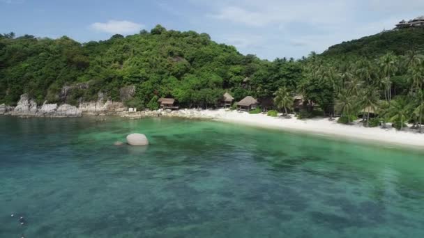 Descubre Encantadora Belleza Koh Tao Querida Isla Tropical Tailandia — Vídeo de stock