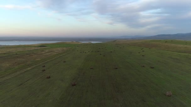 Vista Aérea Cativante Estepe Outono Khakassia Tuva Cores Vibrantes Taiga — Vídeo de Stock