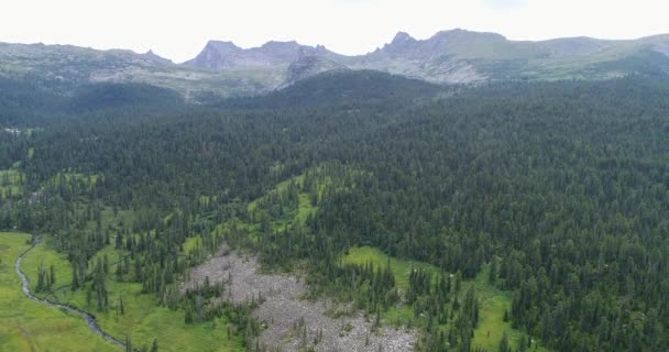ロシアのハカシアの素晴らしい山の風景を息をのむような空想的な景色 広大なタキガの森の美しさを紹介しています シベリアの夏の冒険に最適 — ストック動画