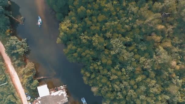 Vedere Aeriană Uimitoare Unui Râu Liniștit Din Thailanda Mangrove Pădure — Videoclip de stoc
