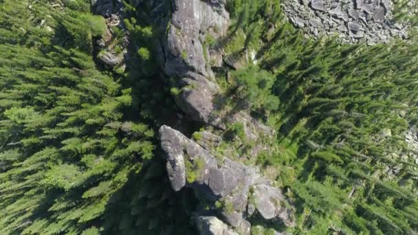 ドローンは シベリアのカカハシア地域のタイガの森と山の素晴らしい景色を撮影します — ストック動画