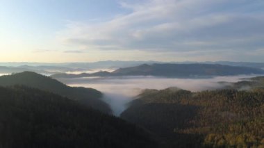 Sibirya Taiga 'daki sisli bir vadi uçuşu görüntüsü Rusya' daki hakasya ve Tuva bölgelerinin güzelliğini gözler önüne seriyor. Sonbahar manzarası mavi gökyüzü ve sabah ışığı ile yaz gündoğumunu yakalıyor.