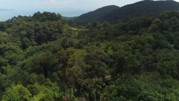 Luftaufnahme Von Koh Pha Ngan Thailand Üppigen Dschungel Atemberaubende Strände — Stockvideo