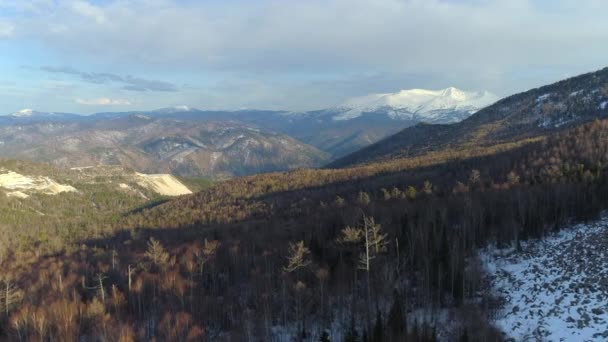 시베리아의 Big Snow Mountain의 봉우리 무성한 타이가 — 비디오