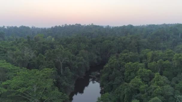 Latać Nad Khao Yai National Park Wspaniałe Dżungli Rzeki Zachodzie — Wideo stockowe