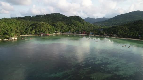 Widok Lotu Ptaka Zatokę Tatoh Koh Tao Tajlandia Pokazuje Plaże — Wideo stockowe