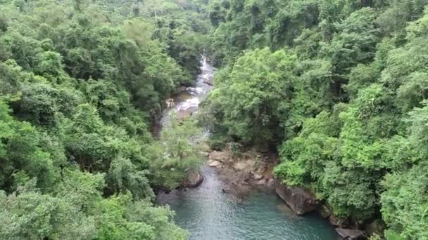 Vue Aérienne Couper Souffle Sur Jungle Luxuriante Rivière Sereine Sur — Video