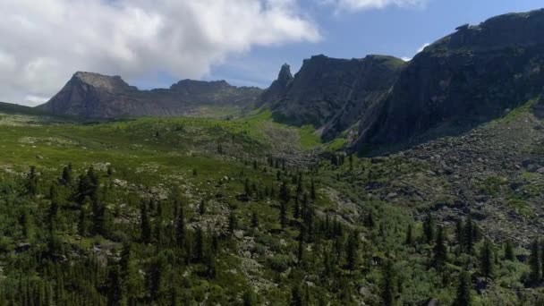Приголомшливий Літній Гірський Пейзаж Сибіру Росія Роллінгові Пагорби Зелені Луки — стокове відео