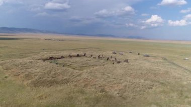 Hakassia, Sibirya 'daki tarihi mezarlığın hava görüntüleri. Manzaralı bozkır bölgesinde antik el arabaları ve petroglifler, İskit kültürünü sergiliyor.