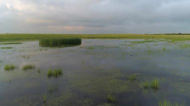 Ördekler, yemyeşil otlar ve yansıyan bulutlarla çevrili sakin gölde süzülür. Sahne videosu Hakassia 'daki yaz manzarasının güzelliğini yansıtıyor.