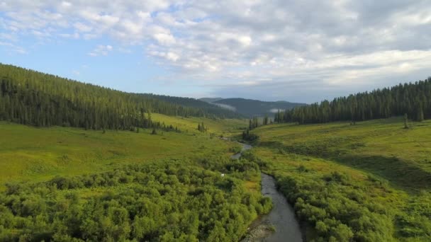 Viagem Hora Ouro Região Sibéria Khakassia Vista Deslumbrante Riverabakan Vegetação — Vídeo de Stock