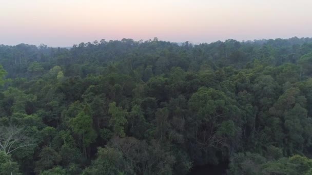 Una Impresionante Puesta Sol Sobre Parque Nacional Khao Yai Bangkok — Vídeos de Stock