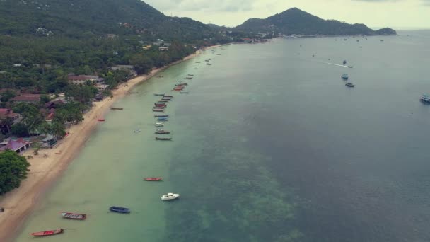Superbe Vue Haut Vers Bas Port Coloré Koh Tao Paysage — Video