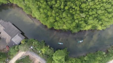 Tayland balıkçı köyündeki sakin nehir kanoları, mangrov ağaçları ve su içinde bir ev. Video, Tayland 'daki Koh Kood adasının çarpıcı güzelliğini vurguluyor.