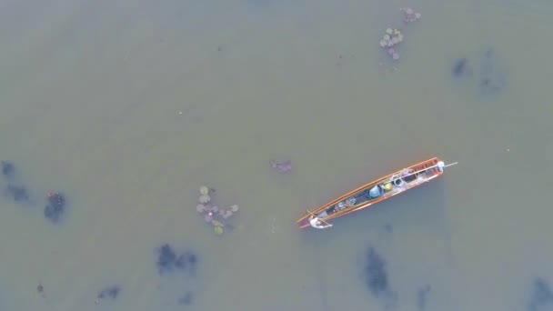 Klidné Thajské Jezero Při Východu Slunce Loď Uprostřed Lotosových Květin — Stock video