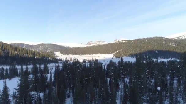 美丽的冬季风景 白雪覆盖的山谷 茂密的森林 雄伟的山峰 — 图库视频影像