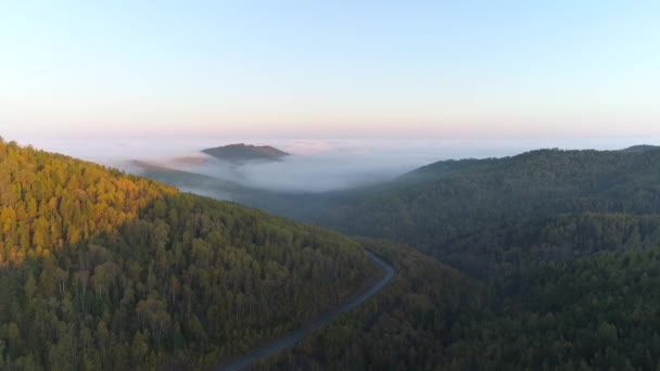 Bela Paisagem Outono Com Vale Nebuloso Montanhas Floresta Densa Sereno — Vídeo de Stock