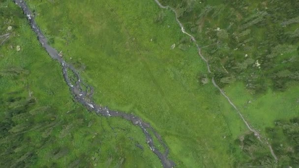 Vista Aérea Tirar Fôlego Floresta Nebulosa Vegetação Densa Rio Fluindo — Vídeo de Stock