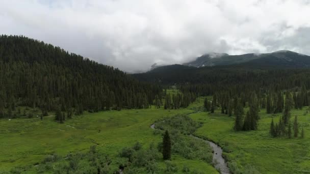 Impressionante Vídeo Aéreo Parque Natural Ergaki Krasnoyarsk Rússia Captura Florestas — Vídeo de Stock