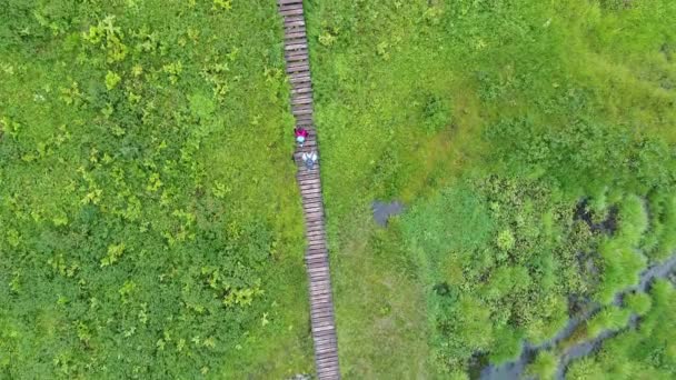 Drone Captura Turistas Caminhando Sayansk Montanhas Apresentando Impressionante Ergaki Grama — Vídeo de Stock
