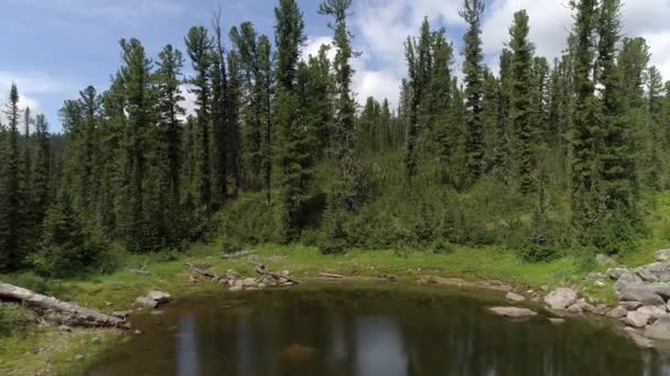 Ohromující Letecké Záběry Sibiřského Lesního Jezera Horami Zelenými Poli Klidnou — Stock video