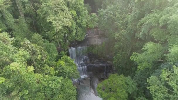 Испытайте Красоту Тайских Джунглей Утром Посетите Близлежащий Водопад Окруженный Пышными — стоковое видео