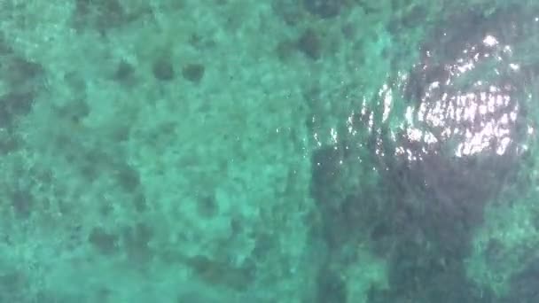 Потрясающее Побережье Коралловой Лагуной Пляже Фридом Тао Koh Tao Захватывающие — стоковое видео