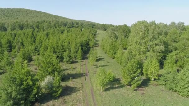 Atemberaubende Luftaufnahme Des Sibirischen Waldes Mit Üppig Grüner Landschaft Und — Stockvideo