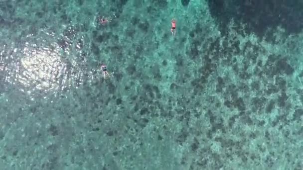 Сноркель Пляже Свободы Тао Исследуйте Коралловую Лагуну Погрузитесь Чистое Море — стоковое видео