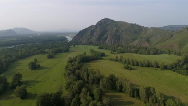 Adembenemend Uitzicht Mistige Vallei Weelderige Groene Steppe Serene Siberische Rivier — Stockvideo