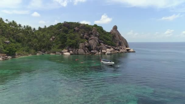 Снорклінг Кораловій Баязії Пропонує Чисту Воду Коралові Лагуни Можливості Дайвінгу — стокове відео