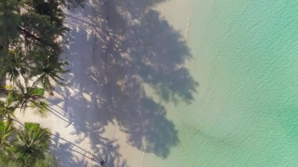 Приезжайте Остров Куд Koh Kood Идеального Летнего Отдыха Насладитесь Бирюзовыми — стоковое видео