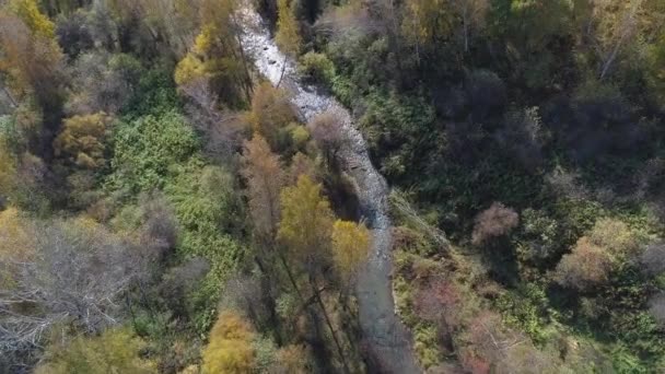 活気に満ちた黄色い木々 太陽光線 流れる川があるカハシアの素晴らしい秋の森 上からの写真景色 — ストック動画