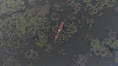 Nilüfer çiçekleri arasında serin Tayland gölünde çarpıcı kırmızı bir tekne..