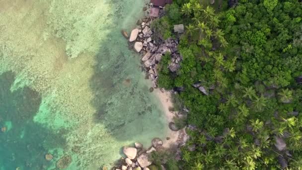 Koh Tao Thailand Paradise Palm Trees Sparkling Sea Perfect Beach — Stock Video