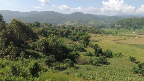 Ідилічна Долина Національному Парку Дой Інтіан Чіангмай Таїланд Дивовижні Пейзажі — стокове відео