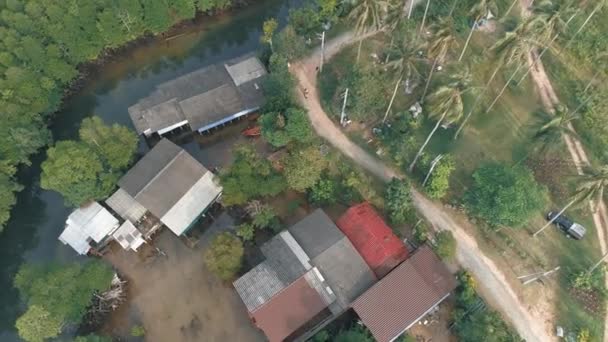 Thais Dorp Jungle Met Palmen Rivier Werkt Landbouw Visserij Boot — Stockvideo
