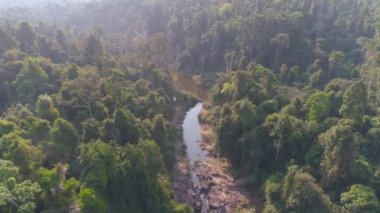 Güneş ışınları sisli bir ormanda çarpıcı bir şelaleyi aydınlatır. Khao Yai Ulusal Parkı, Tayland, Haew Narok ve Haew Suwat Şelaleleri 'nde yer alan şelaleler dağlardan taşarak büyüleyici bir manzara yaratır.