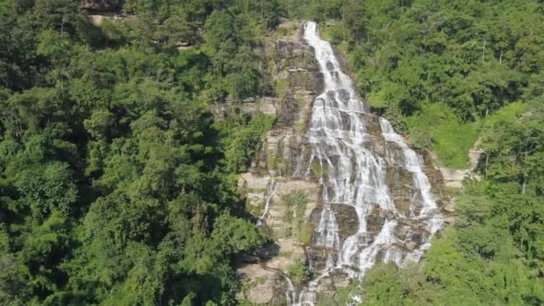 Cachoeira Mae Fresca Deslumbrante Cercada Por Uma Selva Exuberante Uma — Vídeo de Stock