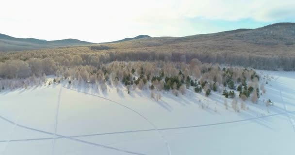 Hipnotyzujący Zimowy Krajobraz Chakasji Rosja Ośnieżone Pola Lasy Góry Oszałamiający — Wideo stockowe